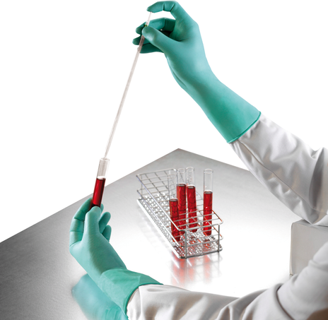 Ansell NeoTouch Neoprene Disposable Gloves 25-201 - Powder-Free Example